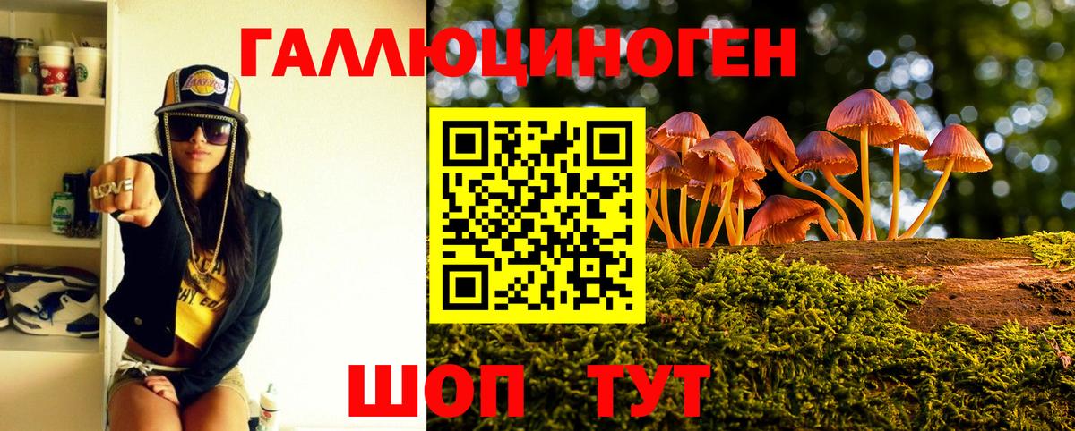 Галлюциногенные грибы Cubensis Усть-Джегута