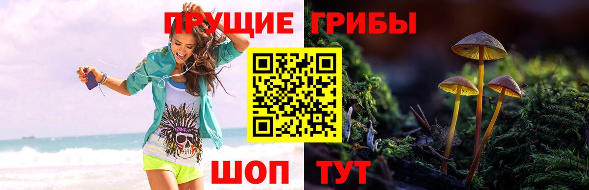 Галлюциногенные грибы ЛСД  Вход с VPN  Усть-Джегута 